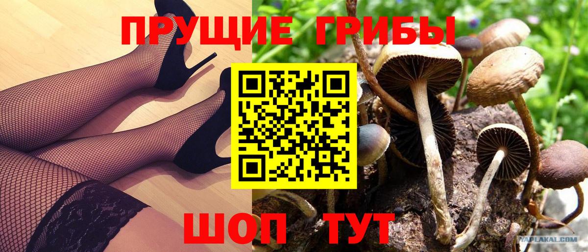 Псилоцибиновые грибы ЛСД  Вход с VPN  Донской  Галлюциногенные грибы Psilocybe 