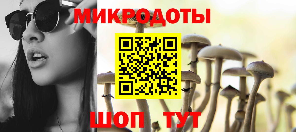 Галлюциногенные грибы MAGIC MUSHROOMS Донской